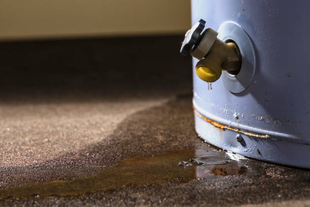Best Water damage mitigation services  in River Park, FL