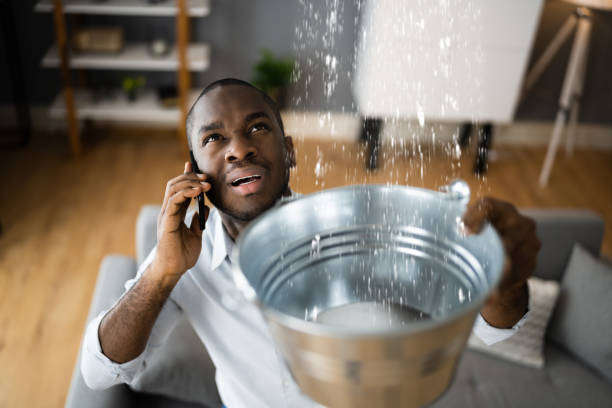 Best Professional water damage repair  in River Park, FL