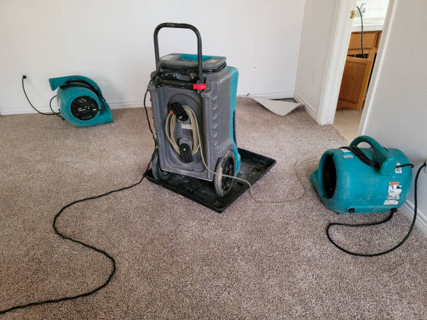 Best 24-hour water damage restoration  in River Park, FL