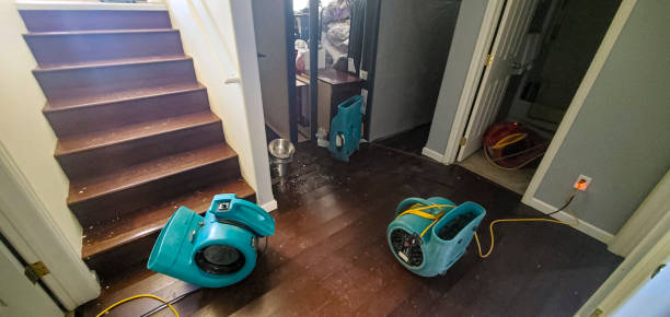 Best Water damage repair service  in River Park, FL