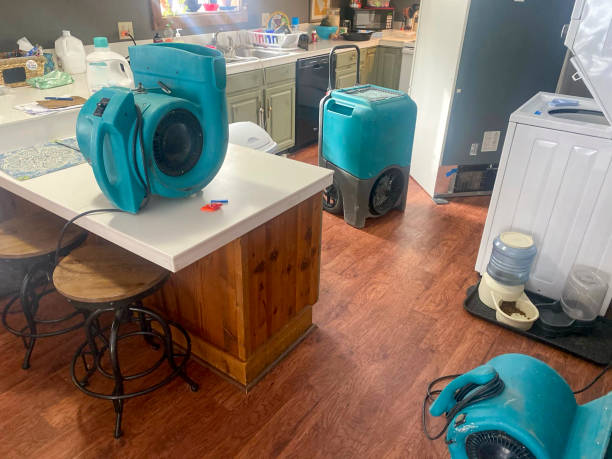 Best Ceiling water damage repair  in River Park, FL
