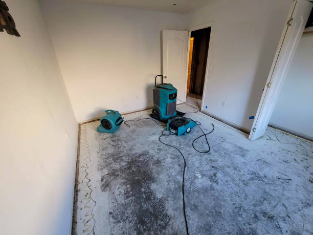 Best Sewage cleanup and water damage restoration  in River Park, FL