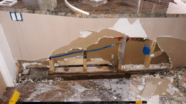 Best Residential water damage restoration  in River Park, FL