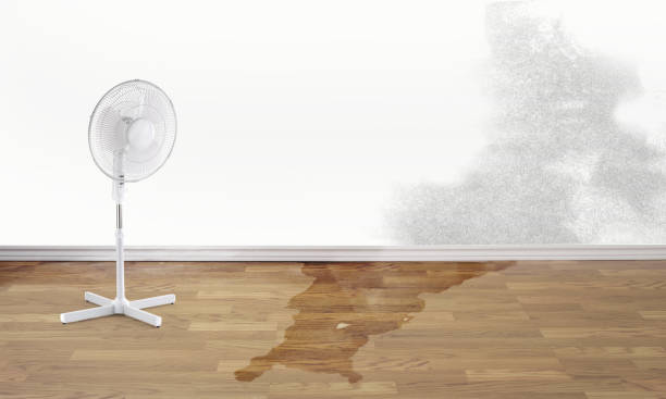 Best Emergency water damage restoration  in River Park, FL