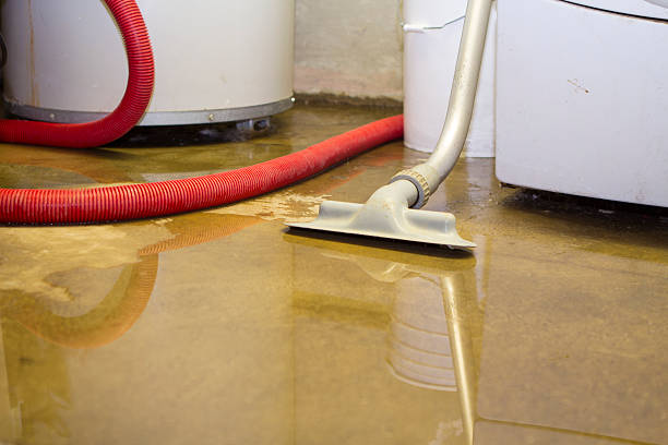 Best Local water damage restoration  in River Park, FL