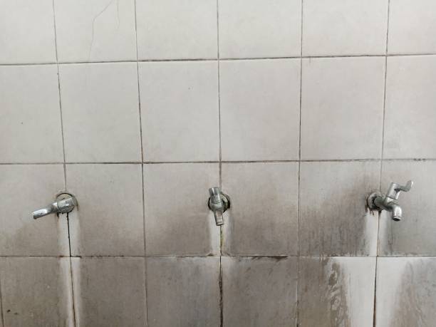 Best Water damage restoration insurance claims  in River Park, FL