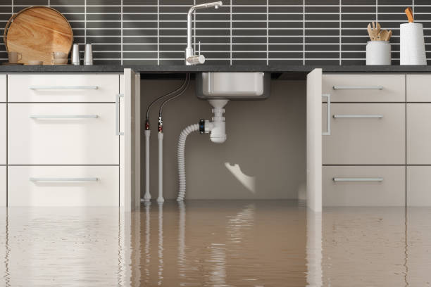 Best Flood damage cleanup  in River Park, FL