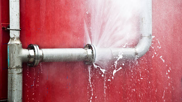 Best Local water damage restoration  in River Park, FL