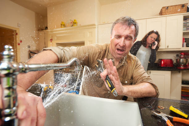 Best Flooded house restoration  in River Park, FL